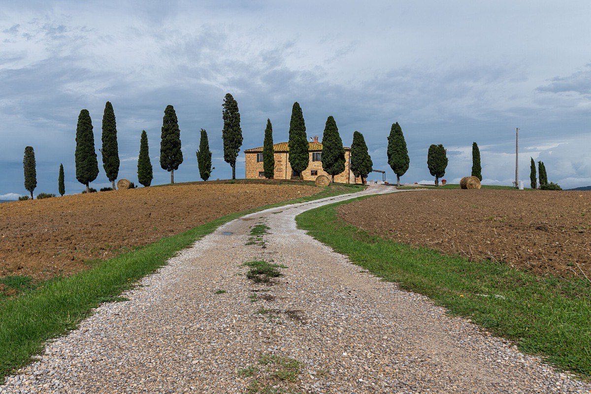 Cypress-lined gravel road leading to a farmhouse in the Val d'Orcia, Tuscany